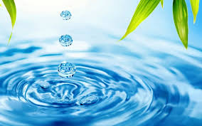 GESTION DEL AGUA